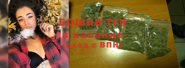 шишки Горнозаводск