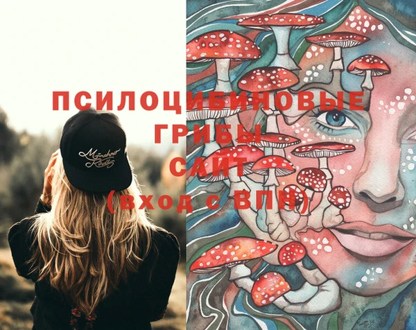 мяу мяу кристалл Горняк