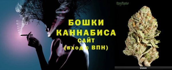 шишки Горнозаводск