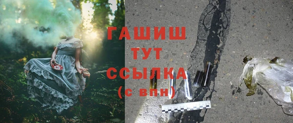 шишки Горнозаводск