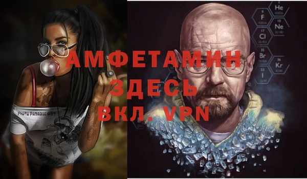 дмт Вяземский