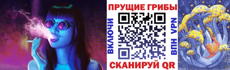 где купить   Жуковский  Галлюциногенные грибы GOLDEN TEACHER 